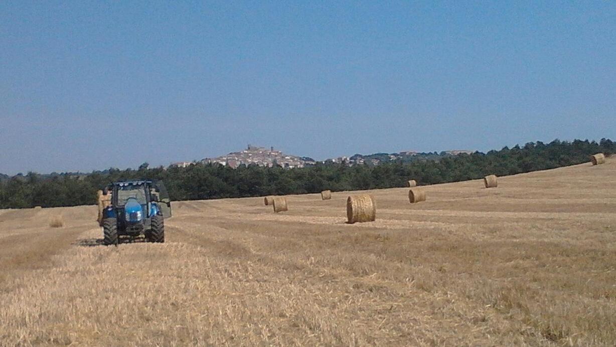 Il Laghetto Agriturismo Villa Manciano Buitenkant foto